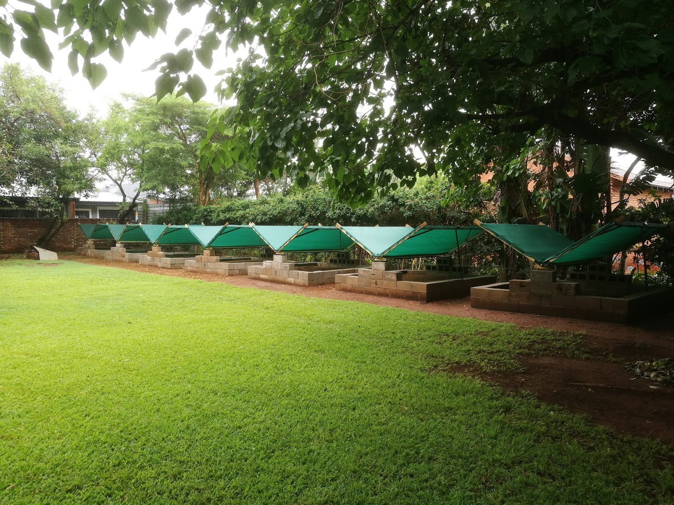 Rows of working worm bins at Vermicompost Farm